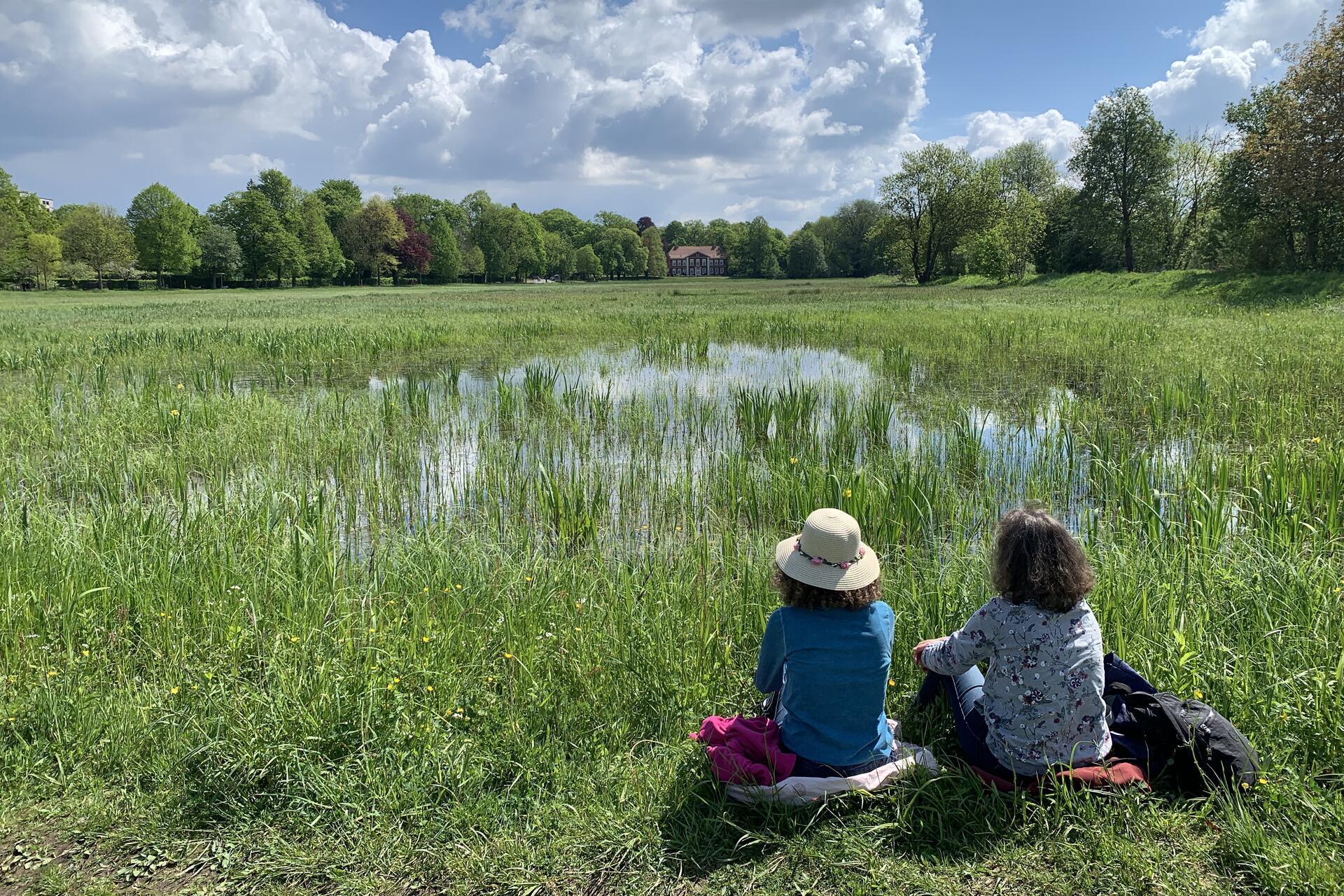 Ratsteich Wiesen – Bild 4