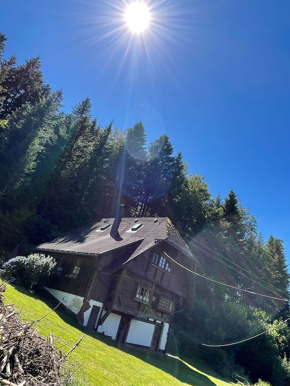 Schmidbauernhof – Bild 3