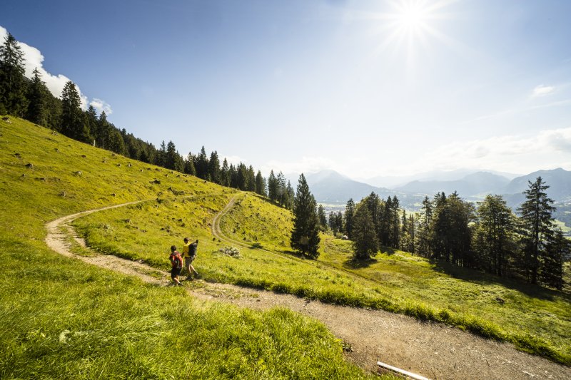 Wippe am Wanderweg – Bild 4