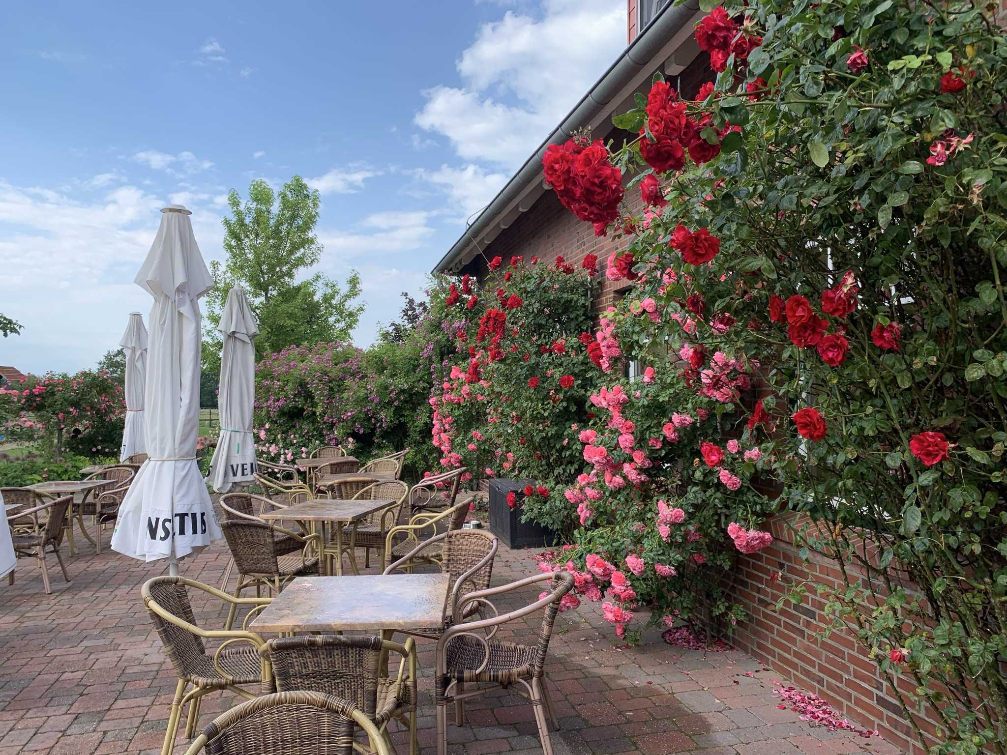 Rißler - Hof Café & Bleibe – Bild 4