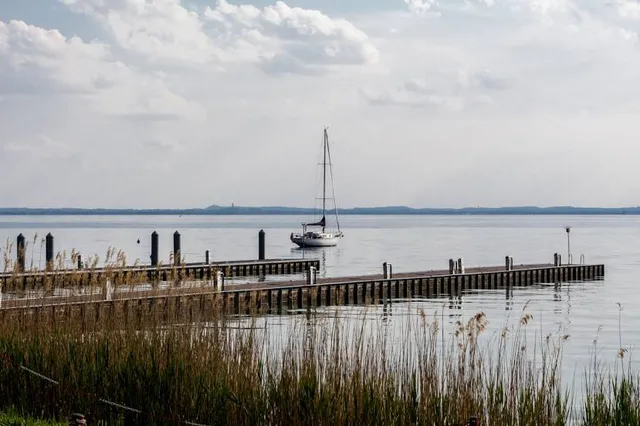 Naturpark Steinhuder Meer – Bild 4