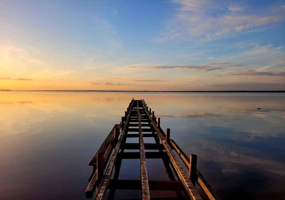 Naturpark Steinhuder Meer – Bild 6