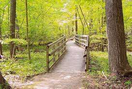 Rondeau Park – Bild 4