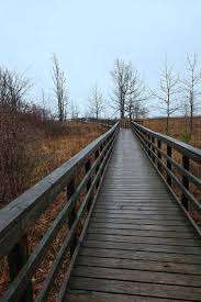 Rondeau Park – Bild 5