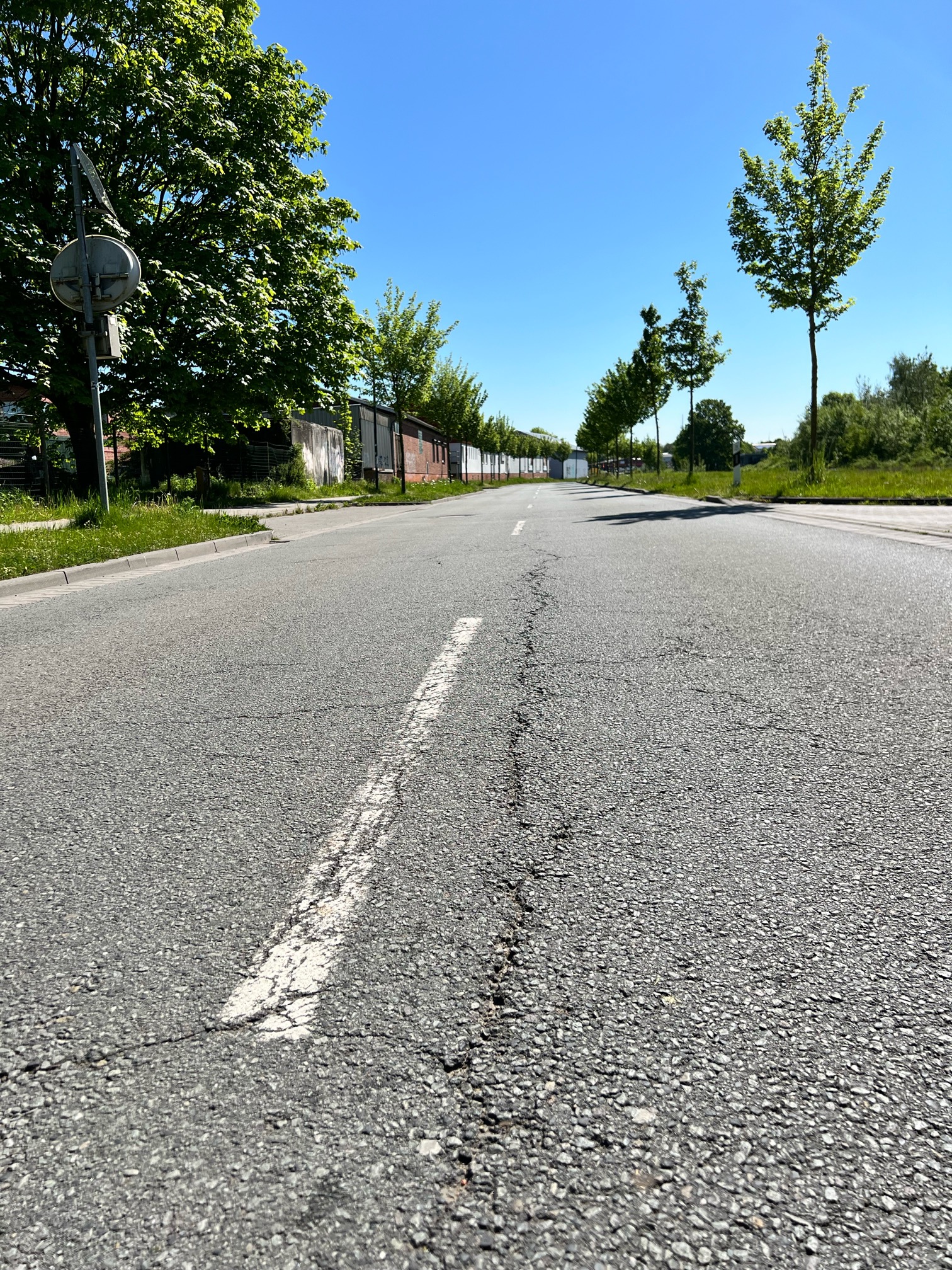 Gleggmire Bildung – Bild 6