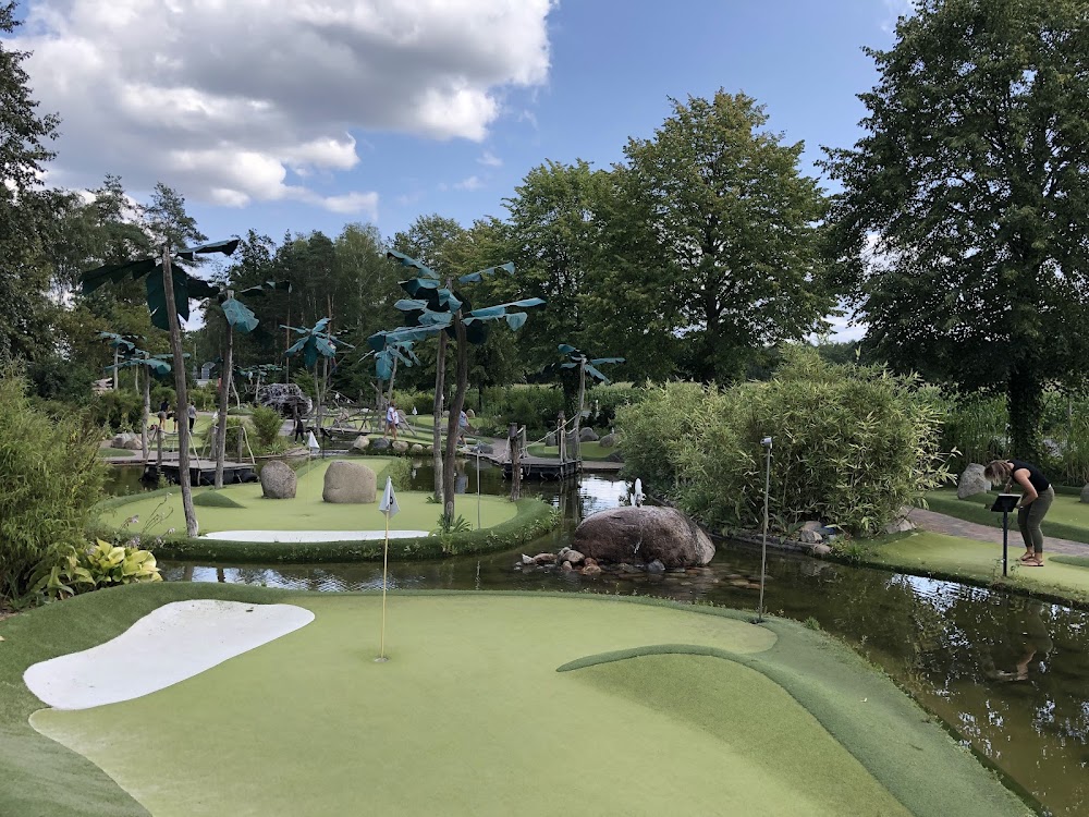 Ferienhof Wiechers – Bild 3