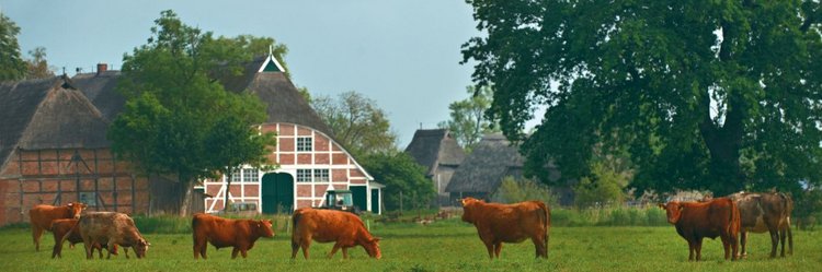 Hof Eggers in der Ohe – Bild 5