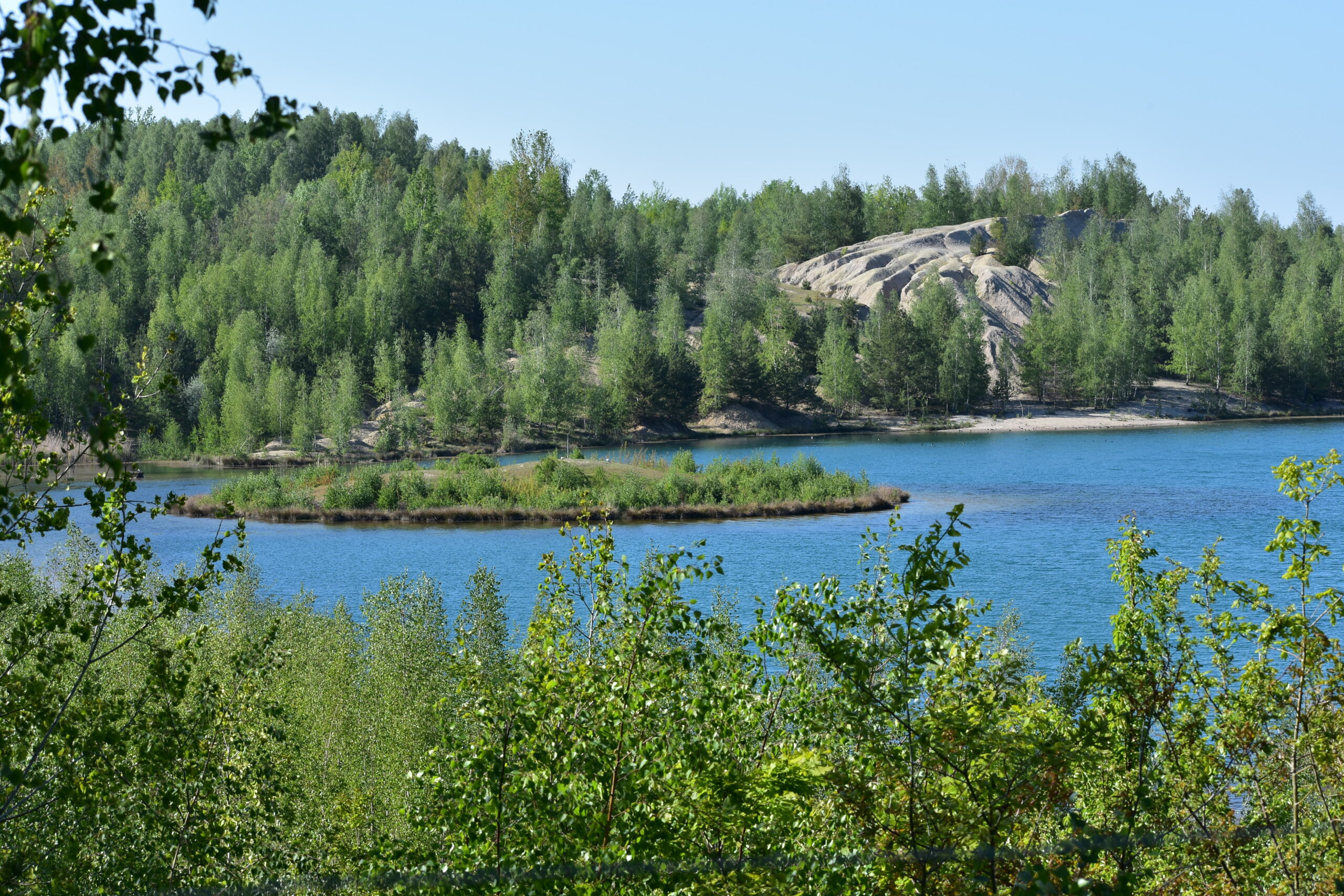 Naturförderungsgesellschaft Ökologische Station Borna-Birkenhain e.V. – Bild 5