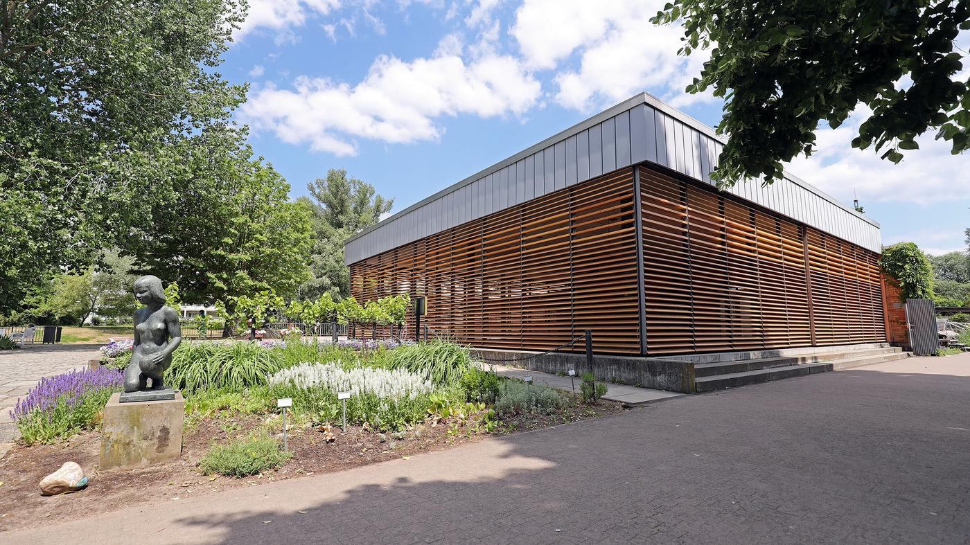 Inselcafe Freundschaftsinsel – Bild 3