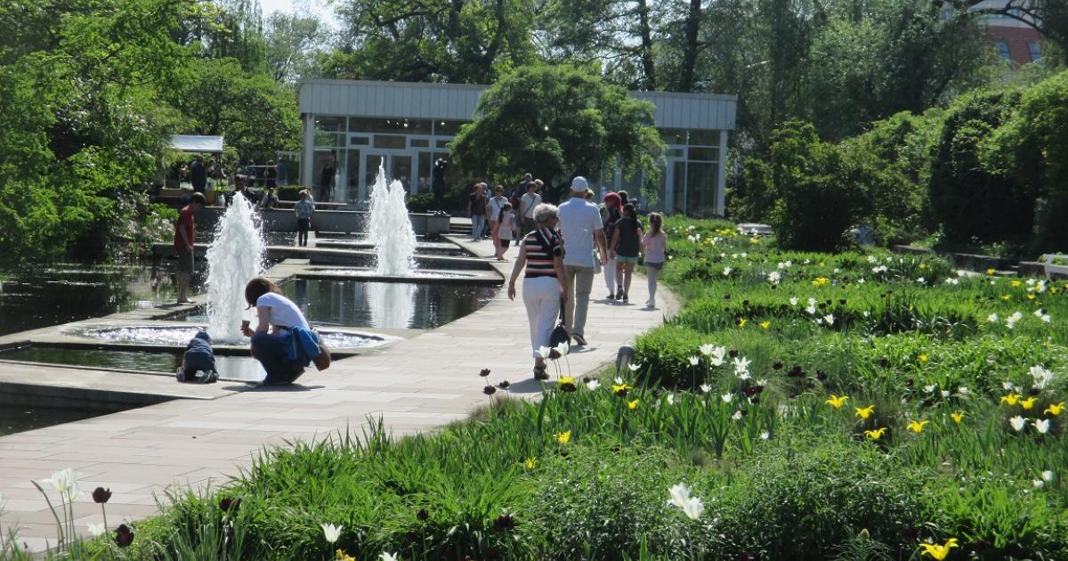 Inselcafe Freundschaftsinsel – Bild 4