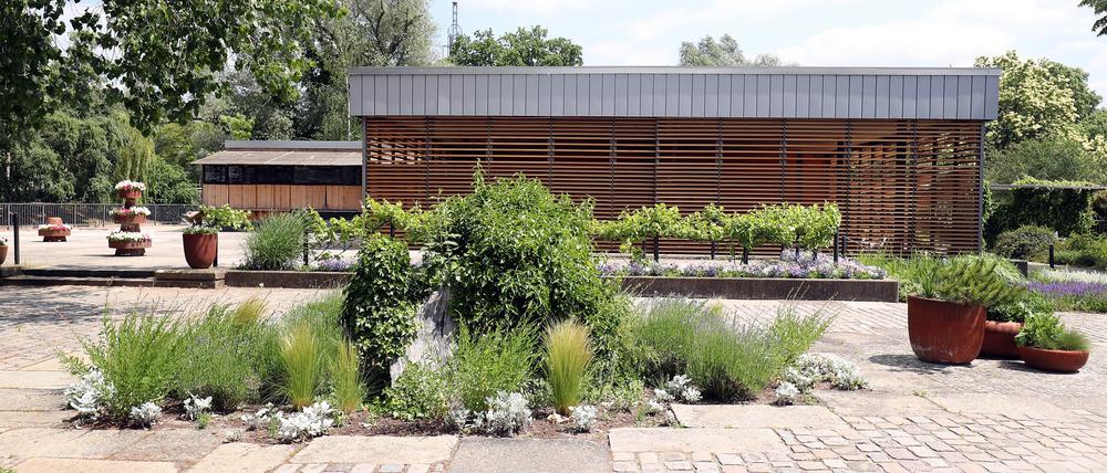 Inselcafe Freundschaftsinsel – Bild 5