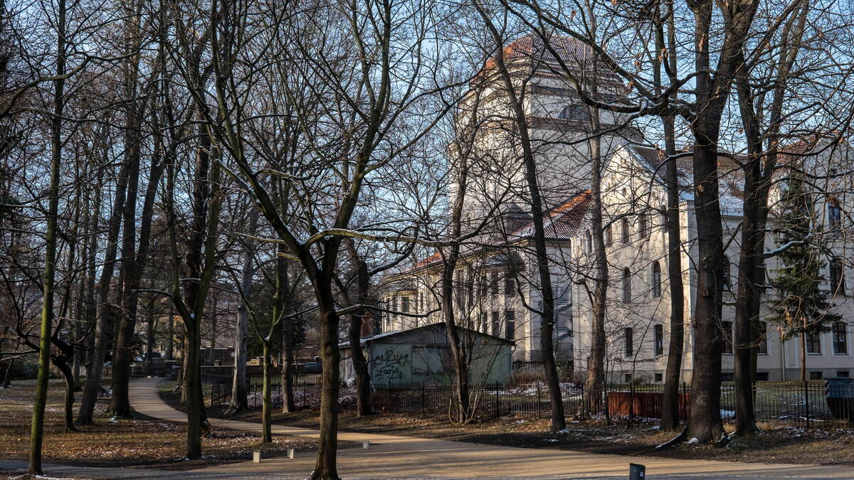 Neuer Stadtpark – Bild 5