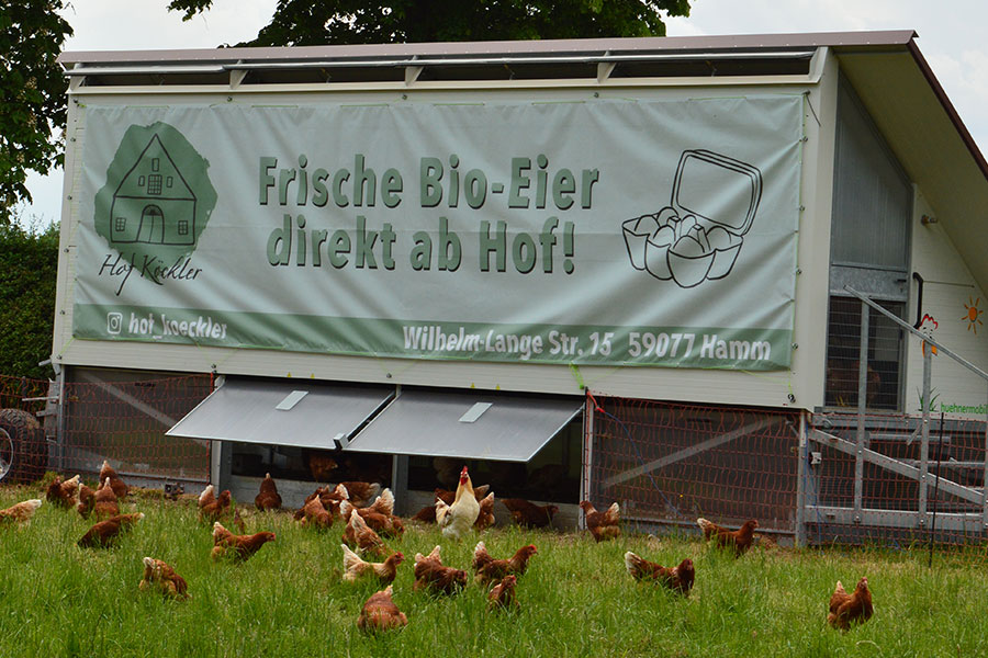 Hof Köckler – Bild 3