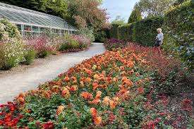 Toronto Botanical Garden – Bild 4