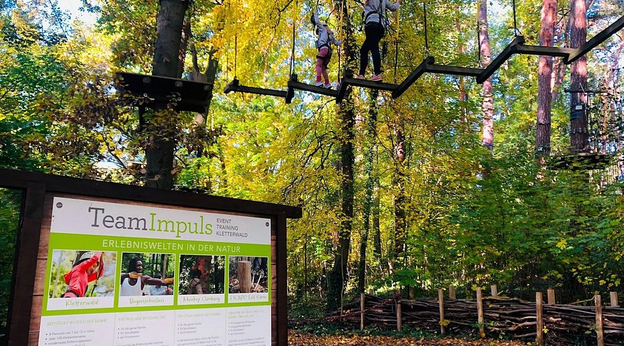 Kletterwald Bad Saarow – Bild 5