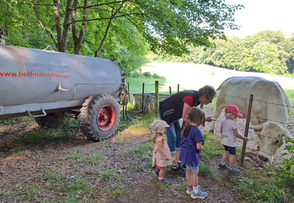 Hoffmann-Hof | Urlaub auf dem Bauernhof in der Eifel – Bild 2