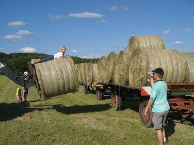 Hoffmann-Hof | Urlaub auf dem Bauernhof in der Eifel – Bild 5