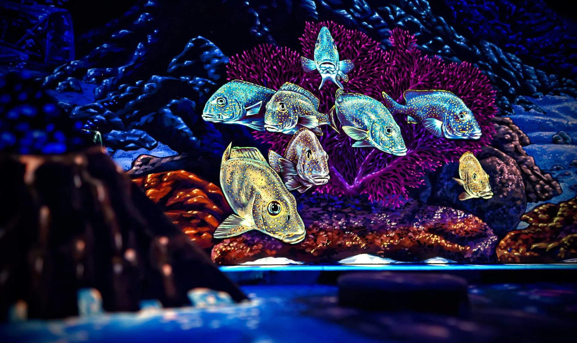 Glowing Rooms 3D Schwarzlicht Minigolf Dresden – Bild 3