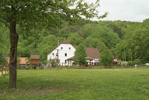 Bauernhofcafé Kapellenhof – Bild 3