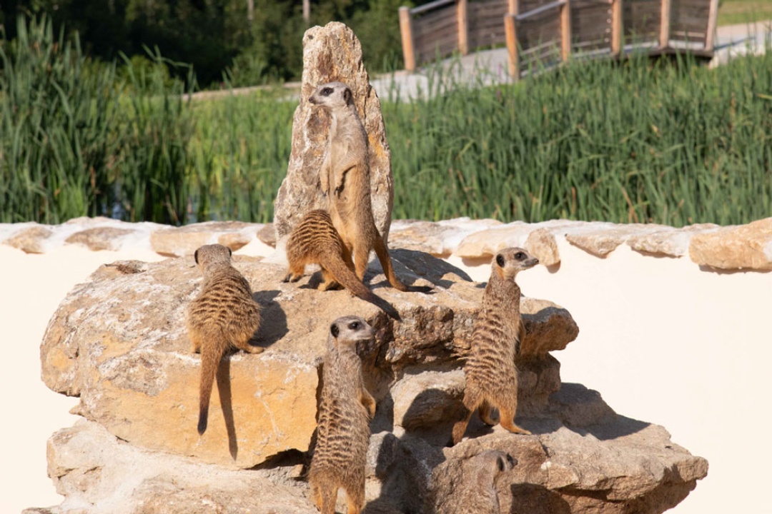 EDELWIES Freizeit GmbH – Bild 5