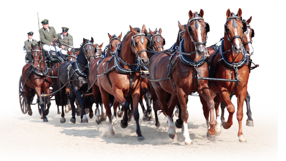 Landgestüt Redefin – Bild 4