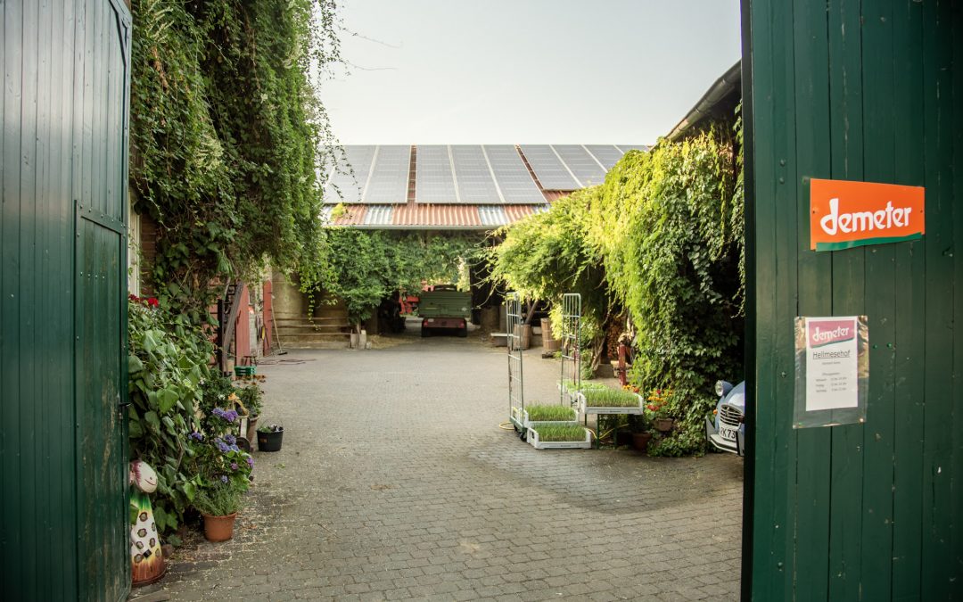 Hellmese Hof – Bild 1