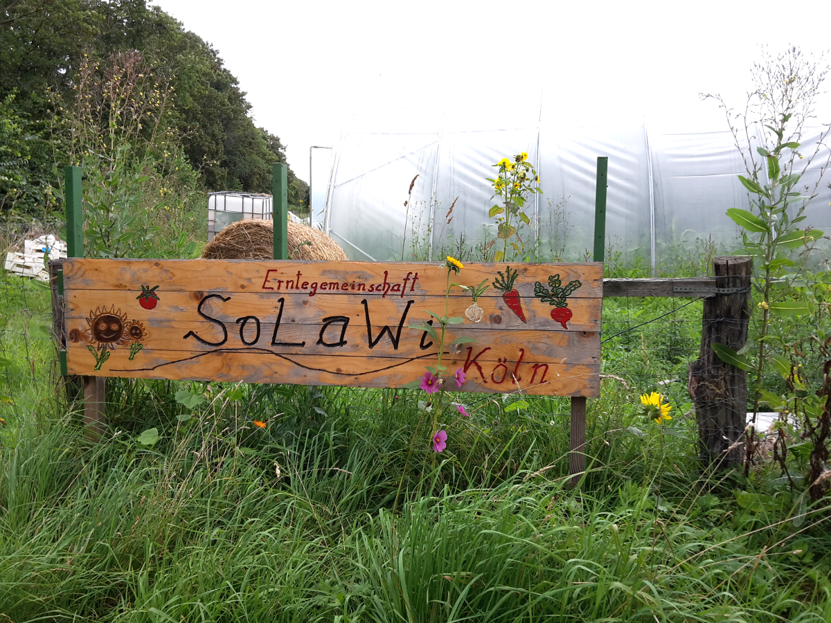 Hellmese Hof – Bild 5