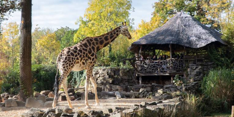 Erlebnis-Zoo Hannover – Bild 4