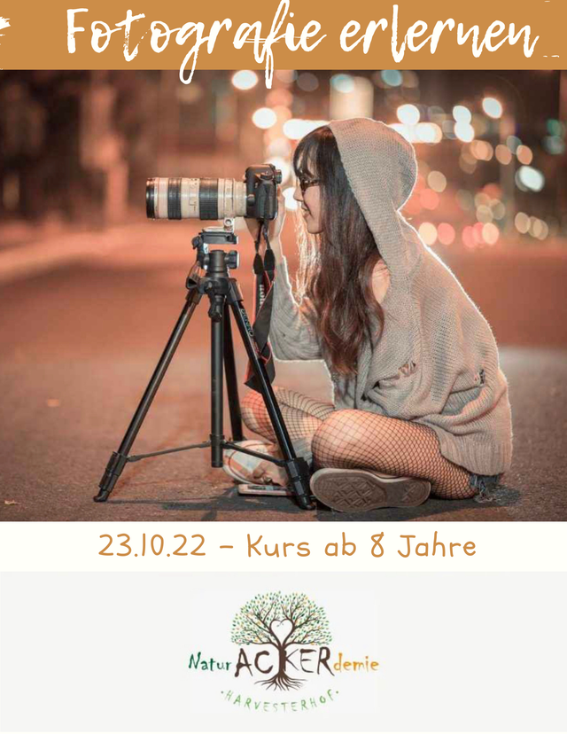 Harvesterhof – Bild 6