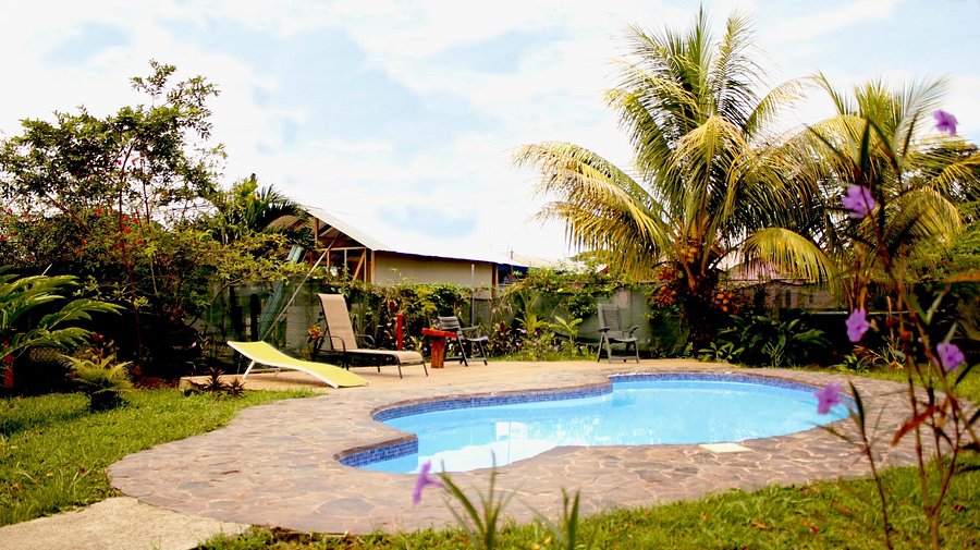 Hakuna Matata – Bild 5