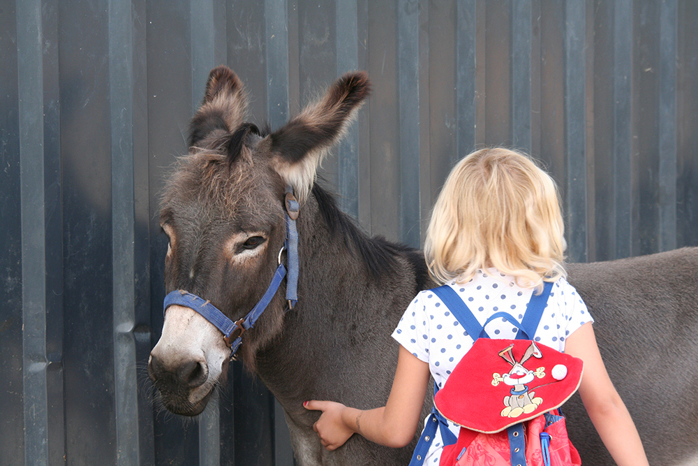 Bauernhof-Kindergarten im Steinig | LENITAS – Bild 3