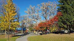 Brewer Park – Bild 2