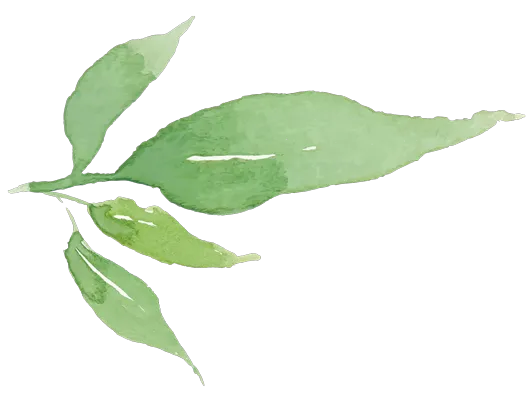 Restaurant EssEnz – Bild 5