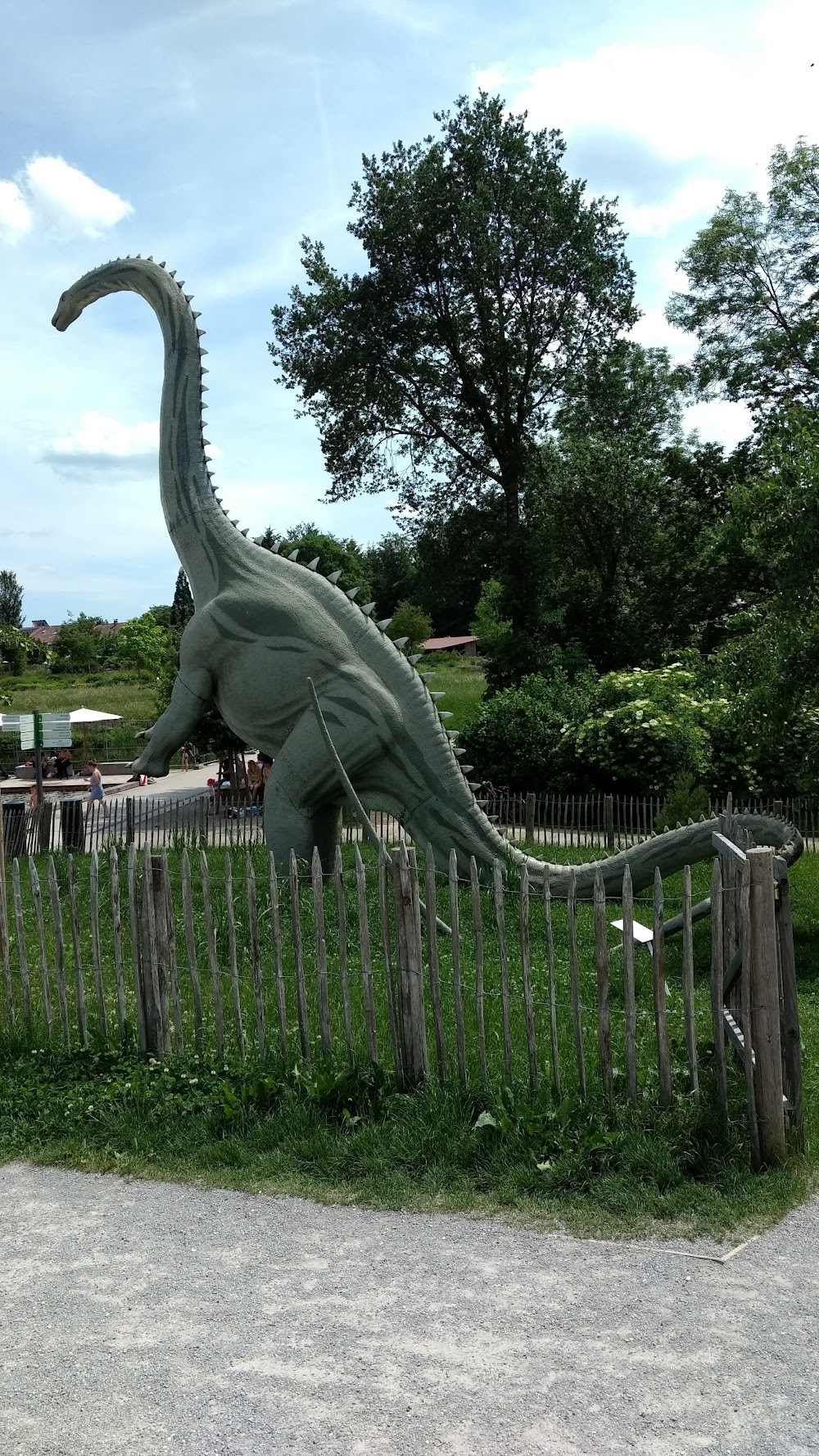 Dinosaurier im Himmelsgarten – Bild 1