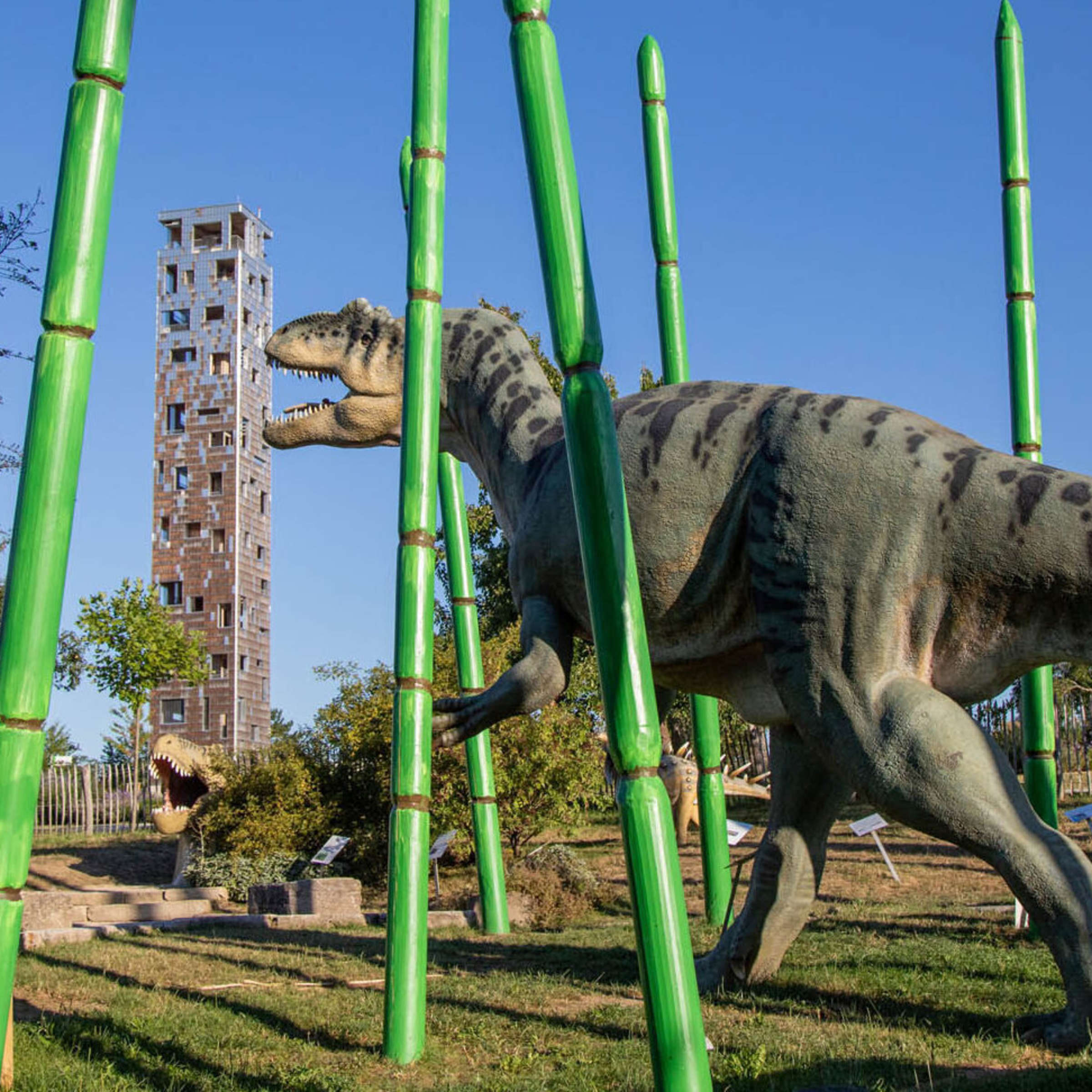 Dinosaurier im Himmelsgarten – Bild 4