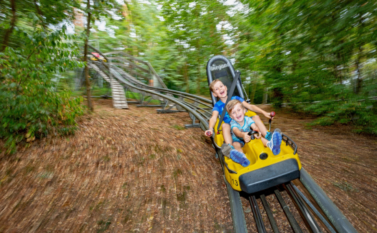 Scharmützelbob – Bild 2