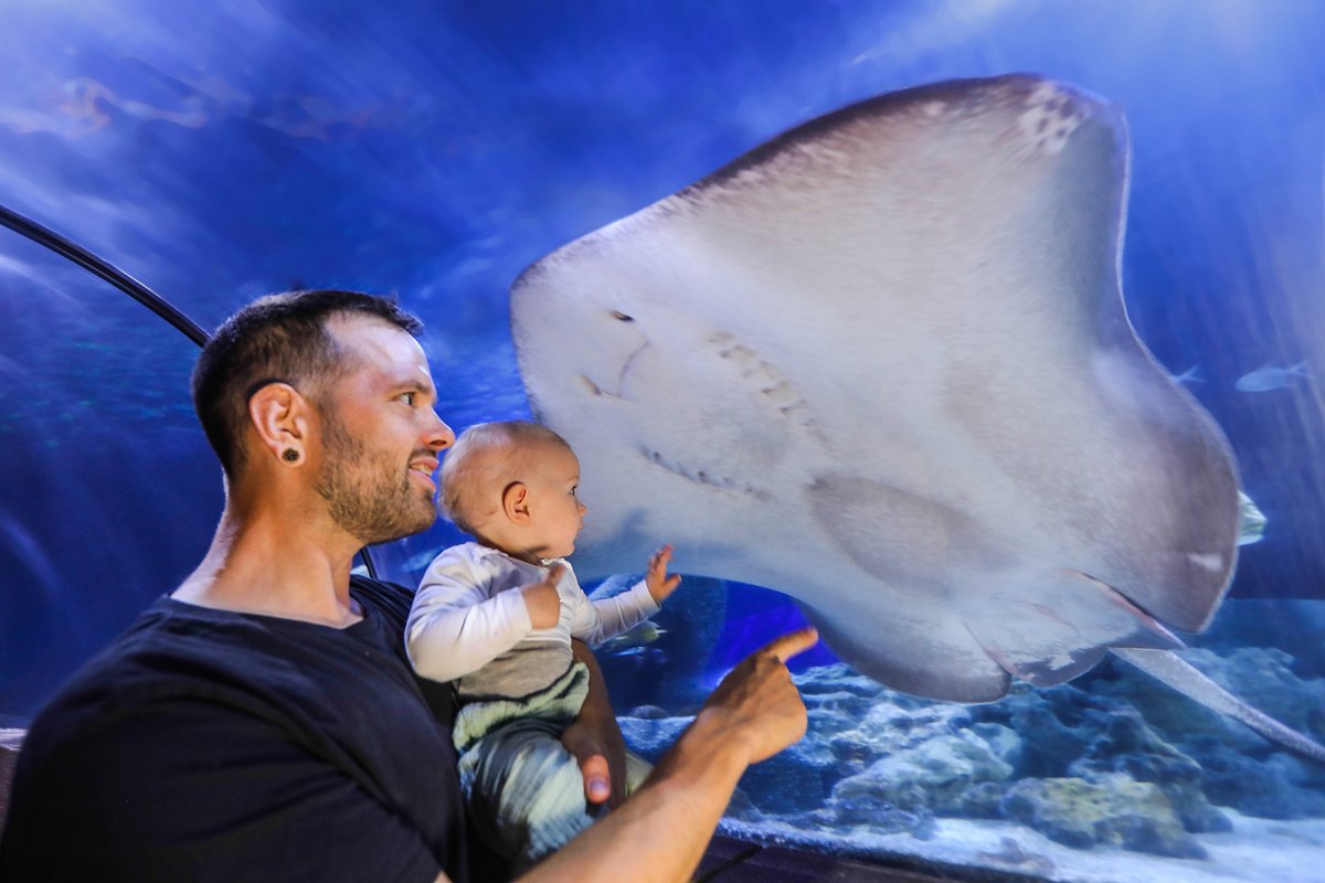 SEA LIFE Hannover – Bild 2