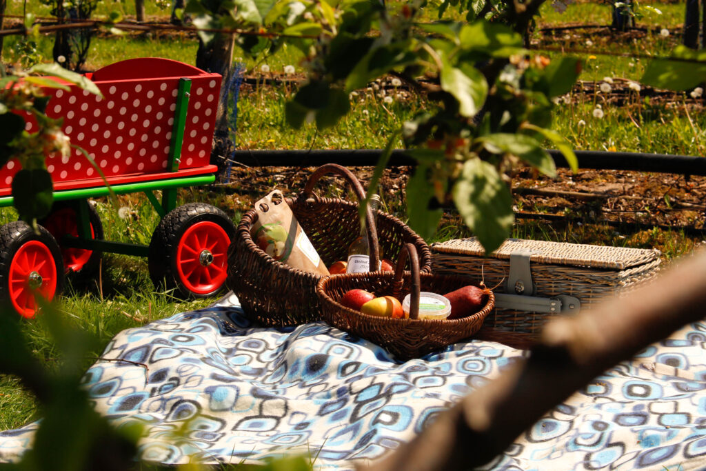 Obsthof Zeyn GbR – Bild 2