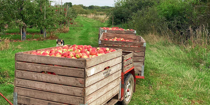 Obsthof Zeyn GbR – Bild 3
