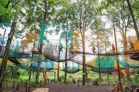 Treetop Trekking Stouffville – Bild 2