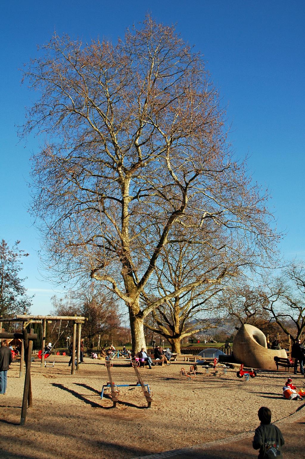 Spielplatz Berg-, Klingenstr. – Bild 3