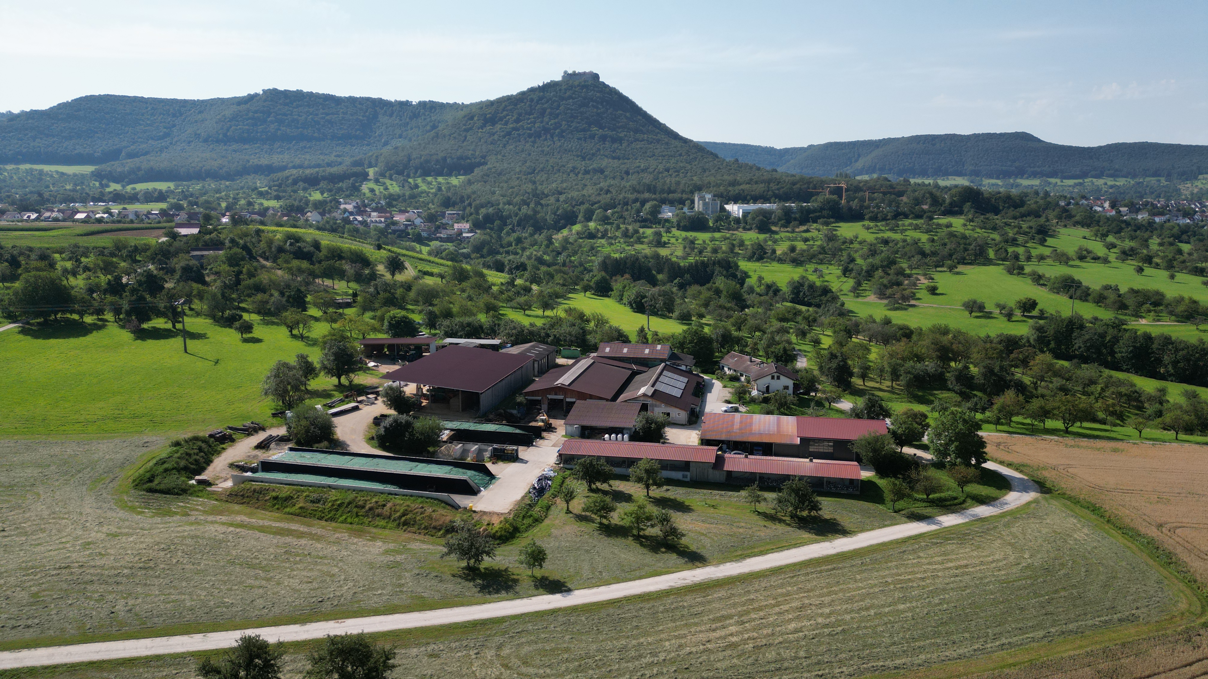 Haldenhof Beuren - Landwirtschaftlicher Betrieb – Bild 2