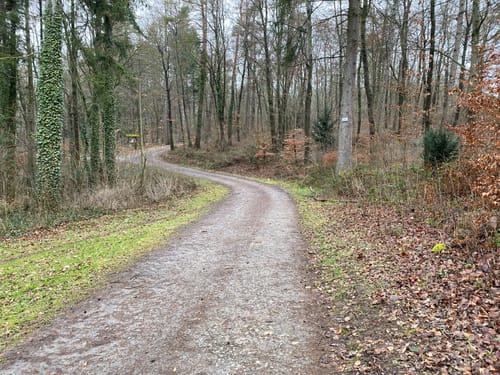 Sölleseck – Bild 3