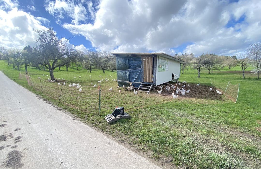 Sölleseck – Bild 5