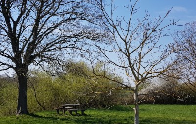 Hundewiese – Bild 3