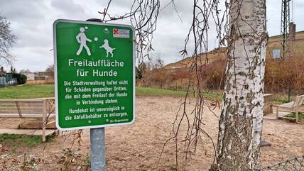 Hundewiese – Bild 4