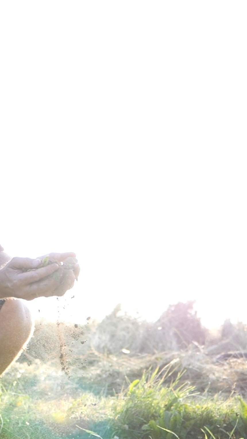 Erlebnisbauernhof Jörg Brand – Bild 2