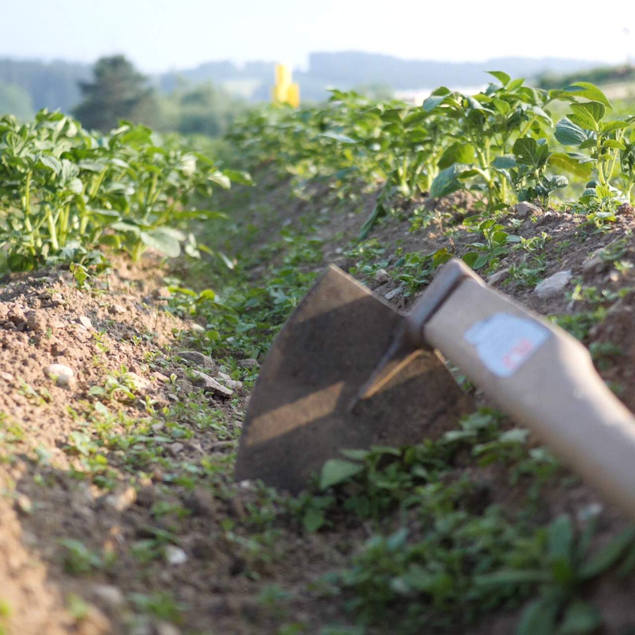 Erlebnisbauernhof Jörg Brand – Bild 4