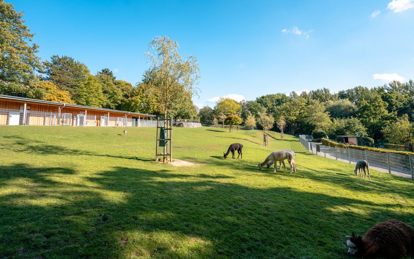 Aachener Tierpark Euregiozoo – Bild 2