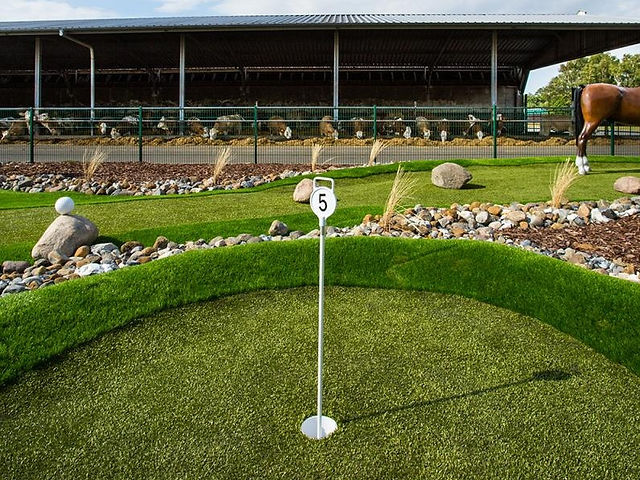 Erlebnishof Gut Darß – Bild 2